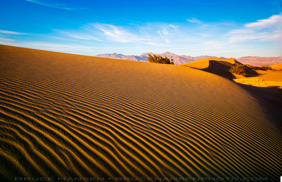 Sand Dune Secrets