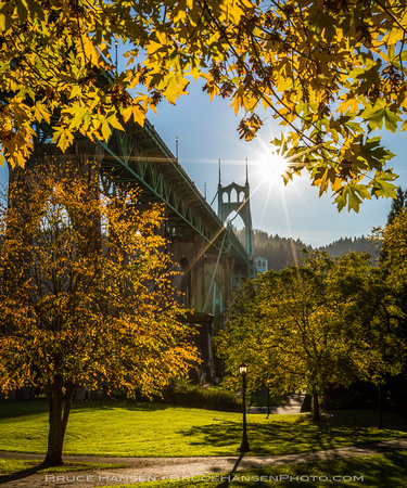 Fall in Portland